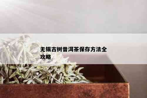 无锡古树普洱茶保存方法全攻略