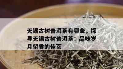 无锡古树普洱茶有哪些，探寻无锡古树普洱茶：品味岁月留香的佳茗