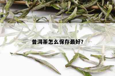 普洱茶怎么保存更好？