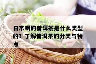 日常喝的普洱茶是什么类型的？了解普洱茶的分类与特点