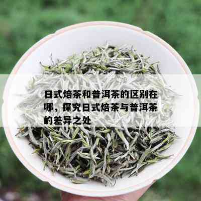 日式焙茶和普洱茶的区别在哪，探究日式焙茶与普洱茶的差异之处