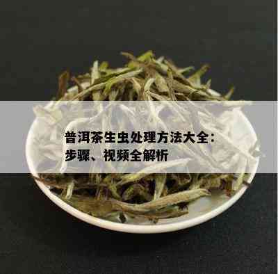 普洱茶生虫处理方法大全：步骤、视频全解析