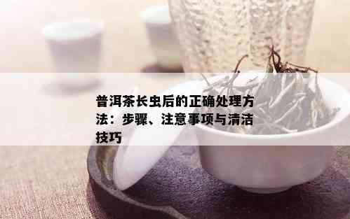 普洱茶长虫后的正确处理方法：步骤、注意事项与清洁技巧