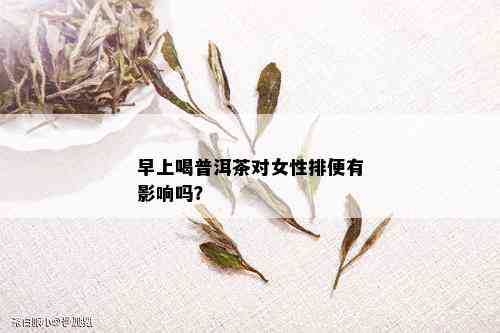 早上喝普洱茶对女性排便有影响吗？