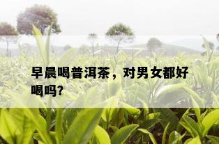 早晨喝普洱茶，对男女都好喝吗？