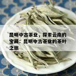 昆明中古茶业，探索云南的宝藏：昆明中古茶业的茶叶之旅