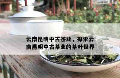 云南昆明中古茶业，探索云南昆明中古茶业的茶叶世界