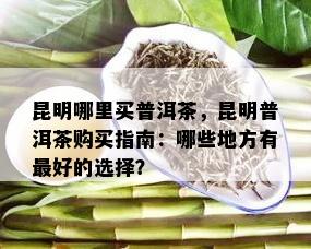 昆明哪里买普洱茶，昆明普洱茶购买指南：哪些地方有更好的选择？