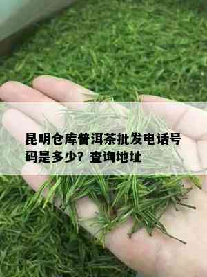 昆明仓库普洱茶批发电话号码是多少？查询地址