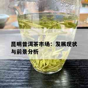 昆明普洱茶市场：发展现状与前景分析