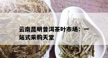 云南昆明普洱茶叶市场：一站式采购天堂