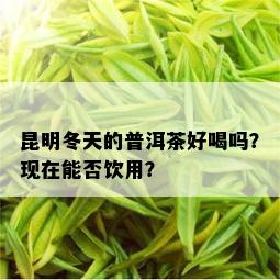 昆明冬天的普洱茶好喝吗？现在能否饮用？