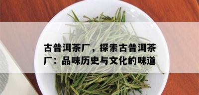 古普洱茶厂，探索古普洱茶厂：品味历史与文化的味道