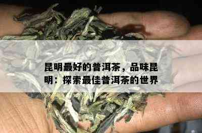 昆明更好的普洱茶，品味昆明：探索更佳普洱茶的世界