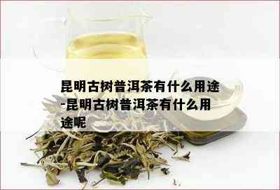 昆明古树普洱茶有什么用途-昆明古树普洱茶有什么用途呢