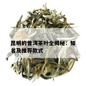 昆明的普洱茶叶全揭秘：知名及推荐款式