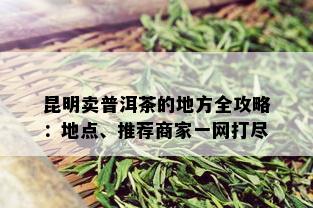 昆明卖普洱茶的地方全攻略：地点、推荐商家一网打尽