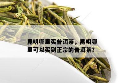 昆明哪里买普洱茶，昆明哪里可以买到正宗的普洱茶？