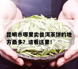 昆明市哪里卖普洱茶饼的地方最多？请看这里！