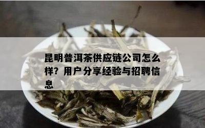 昆明普洱茶供应链公司怎么样？用户分享经验与招聘信息