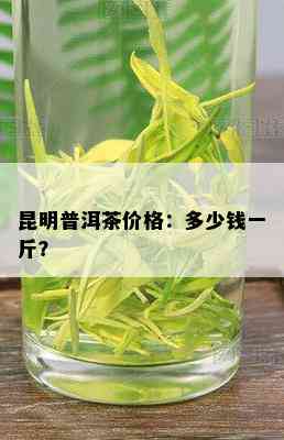 昆明普洱茶价格：多少钱一斤？