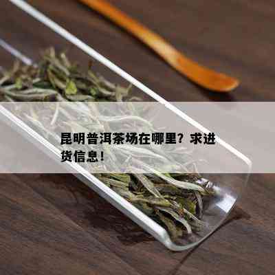 昆明普洱茶场在哪里？求进货信息！