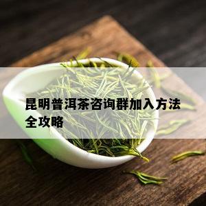 昆明普洱茶咨询群加入方法全攻略