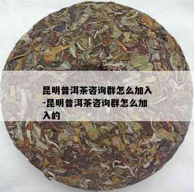 昆明普洱茶咨询群怎么加入-昆明普洱茶咨询群怎么加入的