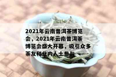 2021年云南普洱茶博览会，2021年云南普洱茶博览会盛大开幕，吸引众多茶友和业内人士参与