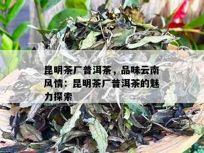 昆明茶厂普洱茶，品味云南风情：昆明茶厂普洱茶的魅力探索