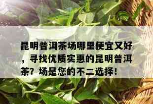 昆明普洱茶场哪里便宜又好，寻找优质实惠的昆明普洱茶？场是您的不二选择！