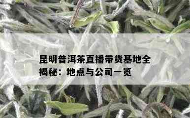 昆明普洱茶直播带货基地全揭秘：地点与公司一览