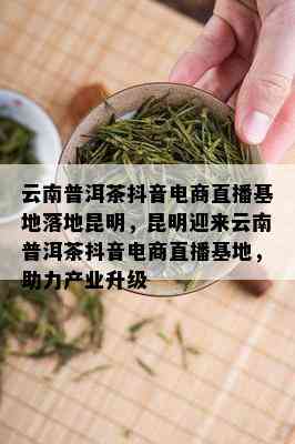 云南普洱茶抖音电商直播基地落地昆明，昆明迎来云南普洱茶抖音电商直播基地，助力产业升级