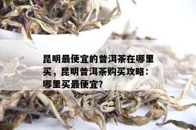 昆明更便宜的普洱茶在哪里买，昆明普洱茶购买攻略：哪里买更便宜？