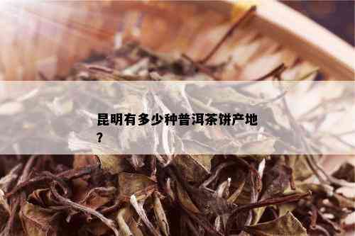 昆明有多少种普洱茶饼产地？