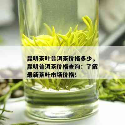 昆明茶叶普洱茶价格多少，昆明普洱茶价格查询：了解最新茶叶市场价格！