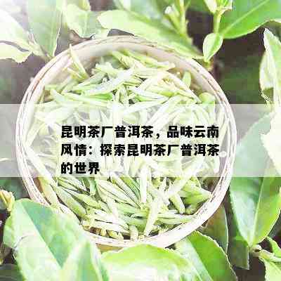 昆明茶厂普洱茶，品味云南风情：探索昆明茶厂普洱茶的世界