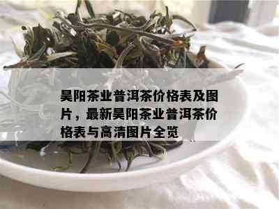 昊阳茶业普洱茶价格表及图片，最新昊阳茶业普洱茶价格表与高清图片全览