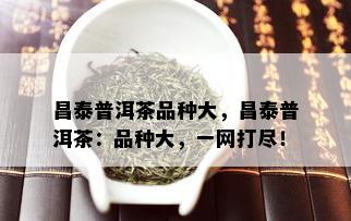 昌泰普洱茶品种大，昌泰普洱茶：品种大，一网打尽！