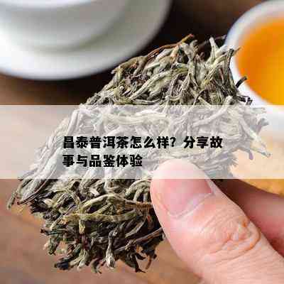 昌泰普洱茶怎么样？分享故事与品鉴体验