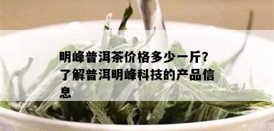 明峰普洱茶价格多少一斤？了解普洱明峰科技的产品信息