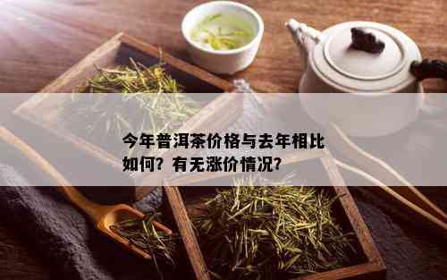 今年普洱茶价格与去年相比如何？有无涨价情况？