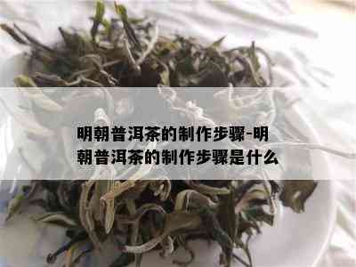 明朝普洱茶的制作步骤-明朝普洱茶的制作步骤是什么