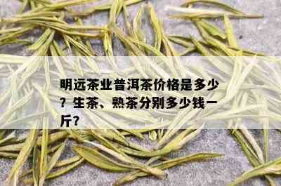 明远茶业普洱茶价格是多少？生茶、熟茶分别多少钱一斤？