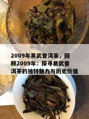 2009年易武普洱茶，回顾2009年：探寻易武普洱茶的独特魅力与历史价值