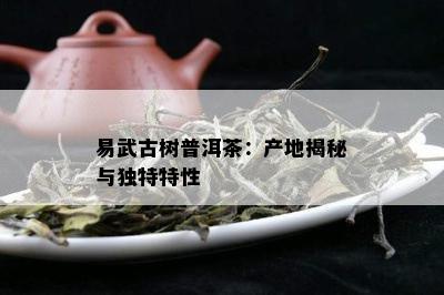 易武古树普洱茶：产地揭秘与独特特性