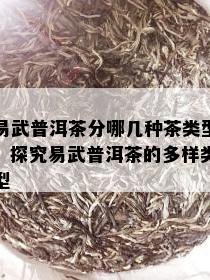 易武普洱茶分哪几种茶类型，探究易武普洱茶的多样类型