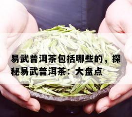 易武普洱茶包括哪些的，探秘易武普洱茶：大盘点