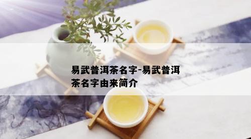 易武普洱茶名字-易武普洱茶名字由来简介