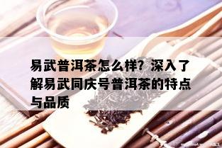 易武普洱茶怎么样？深入了解易武同庆号普洱茶的特点与品质